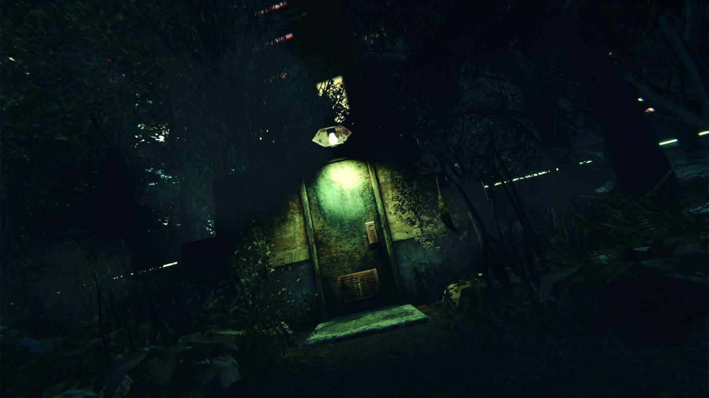 SENSEs: Midnight